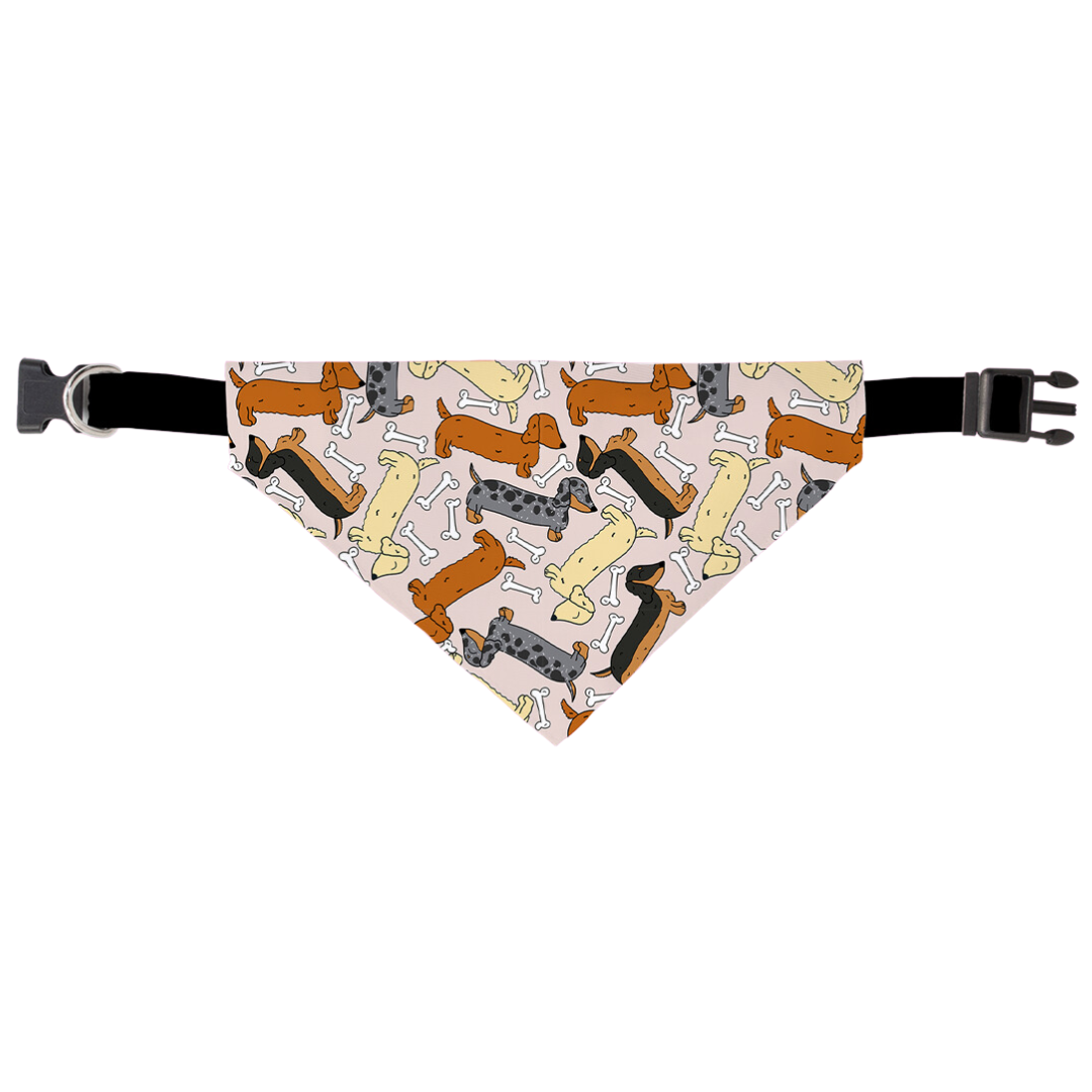 Bad To The Bone Bandana