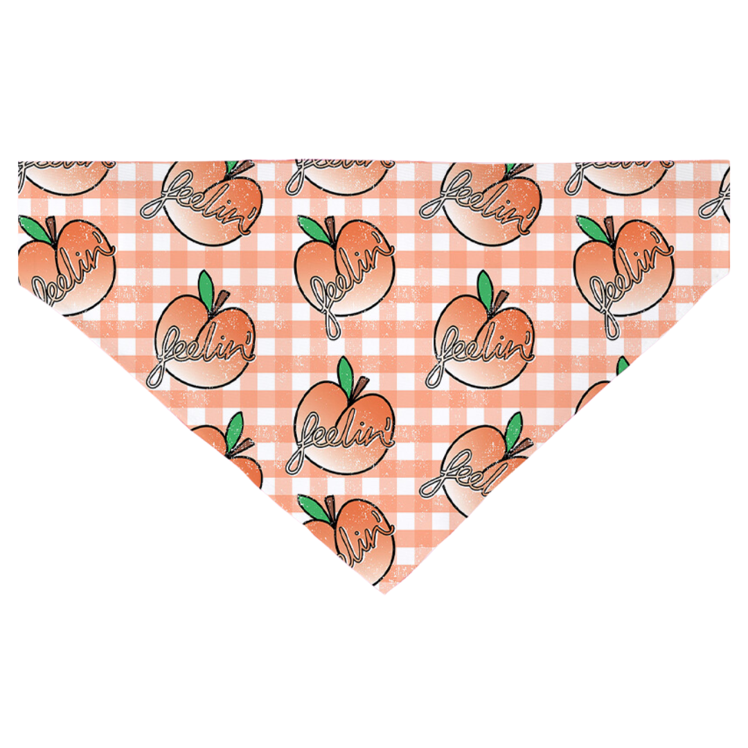 Feelin Peachy Bandana