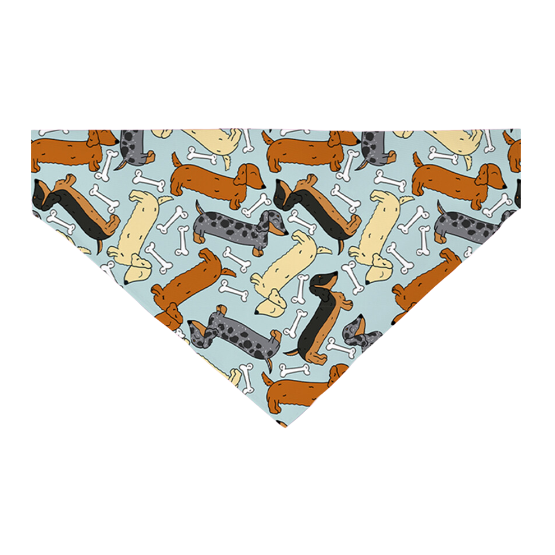 Bad To The Bone Bandana