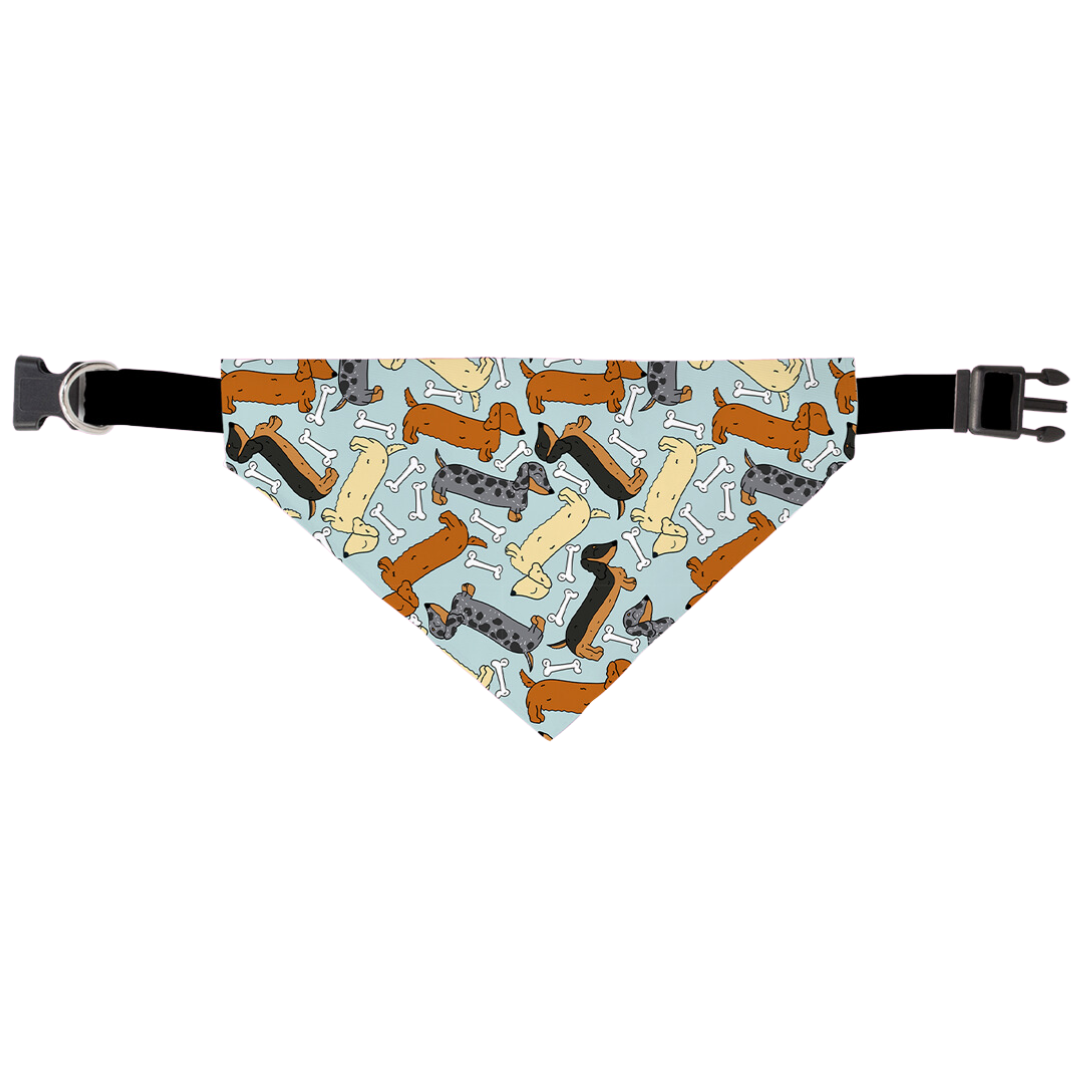 Bad To The Bone Bandana