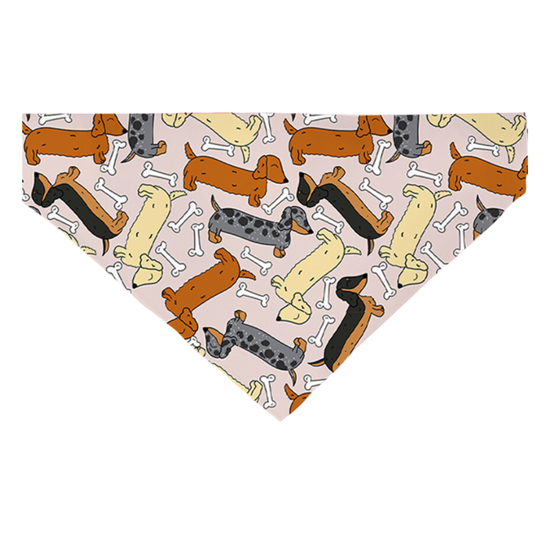 Bad To The Bone Bandana