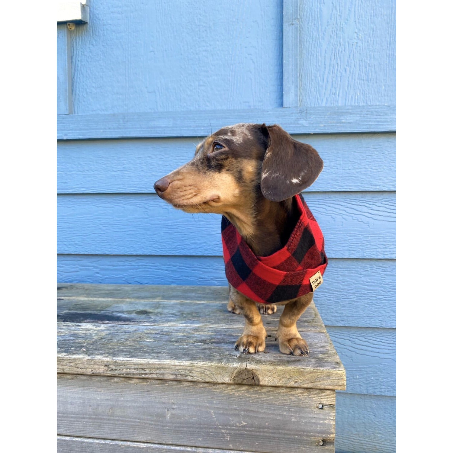 Al Borland Scarf-Dope Dog Co