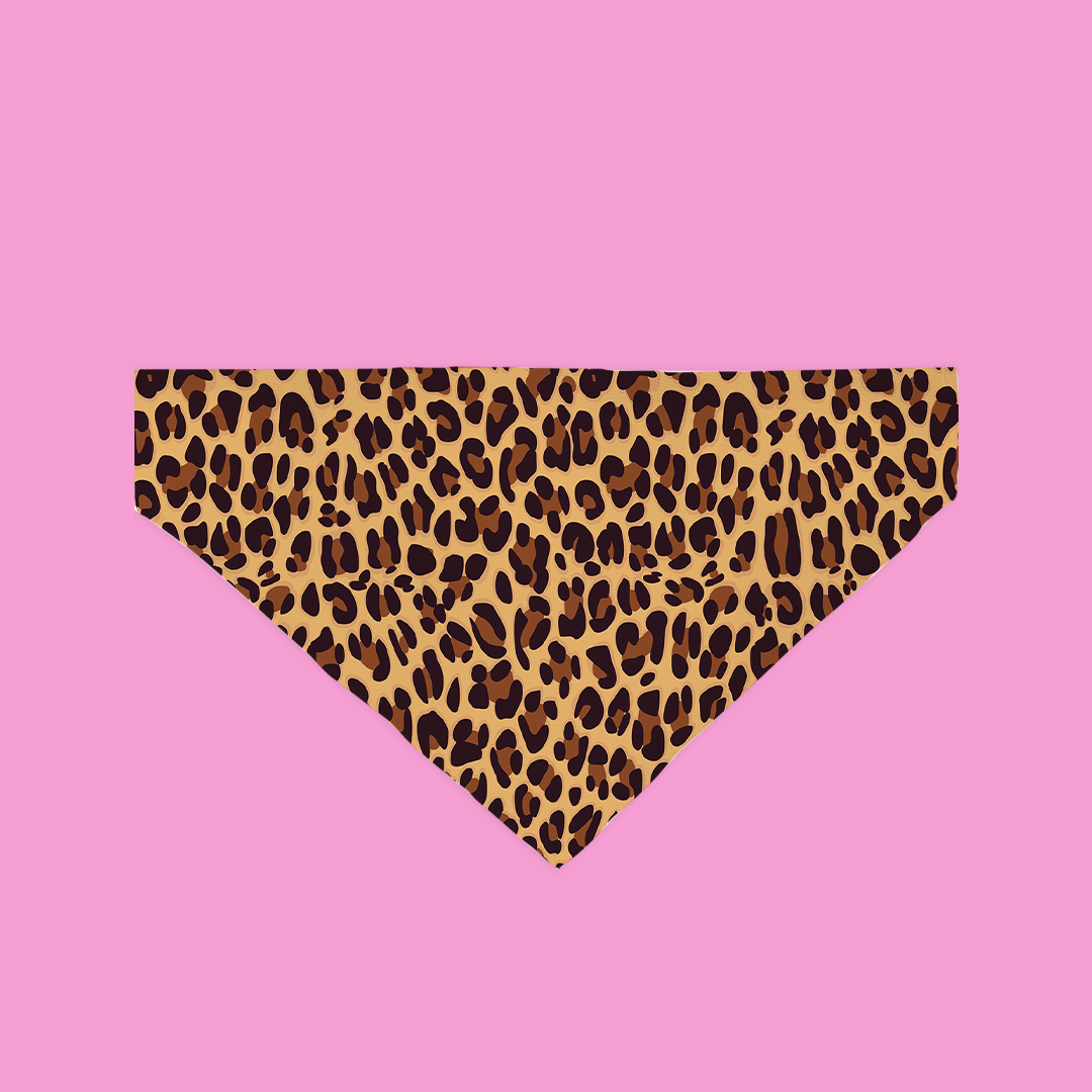 Cheetah Bandana