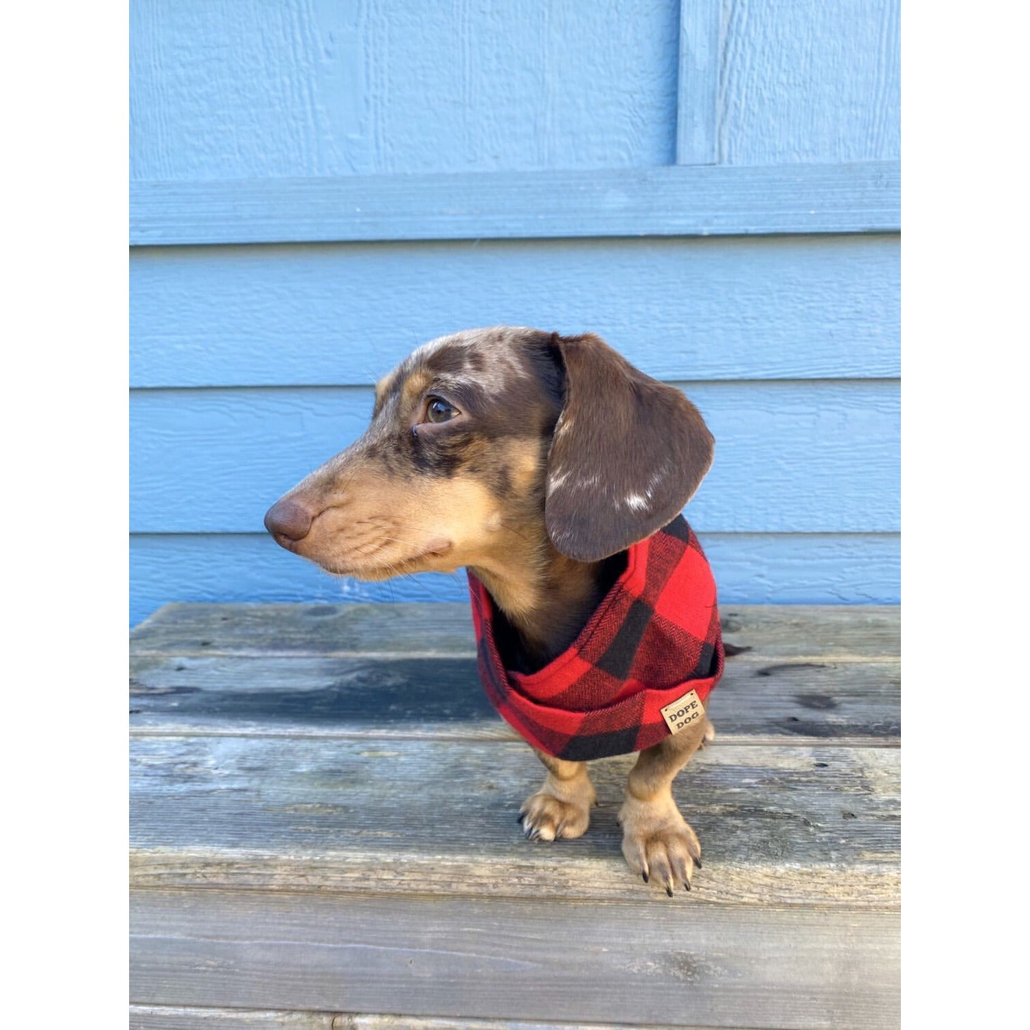 Al Borland Scarf-Dope Dog Co