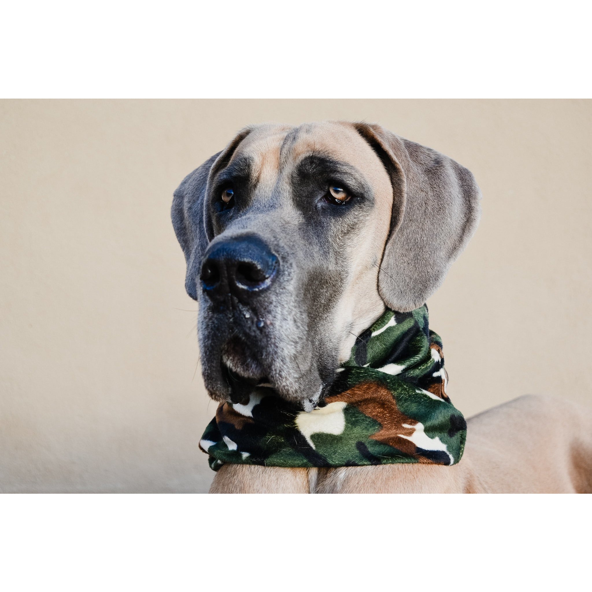 Can't See Me Camo Dog Scarf - Dope Dog Co