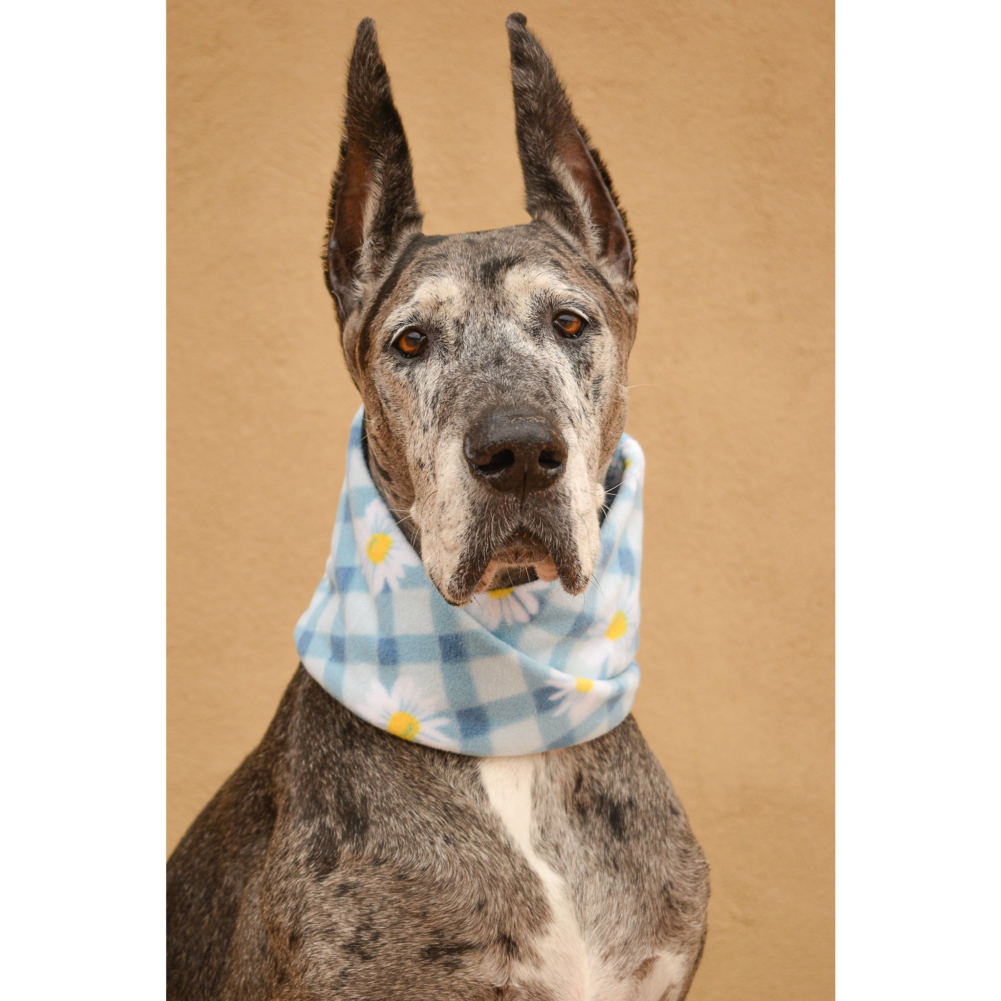 Flower Child Dog Scarf - Dope Dog Co