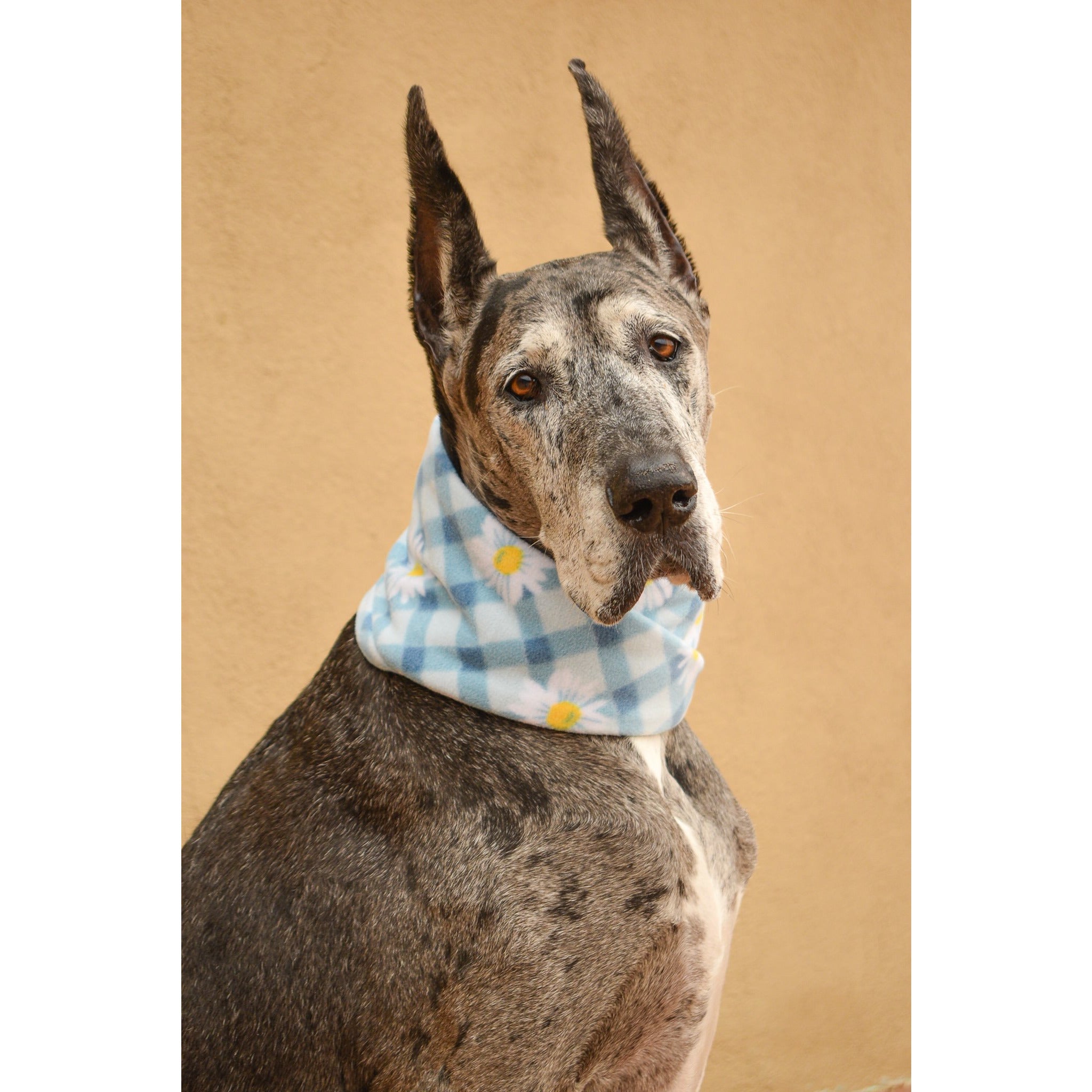Flower Child Dog Scarf - Dope Dog Co