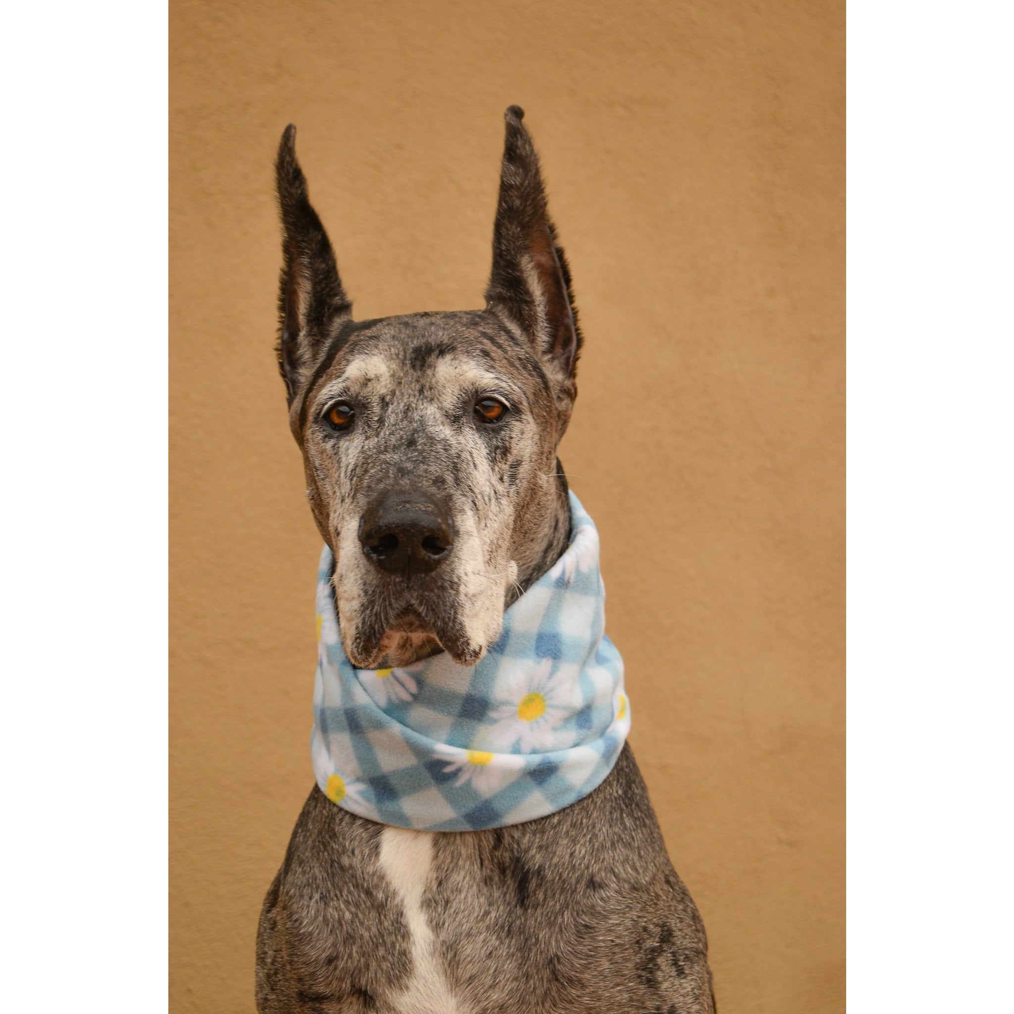 Flower Child Dog Scarf - Dope Dog Co