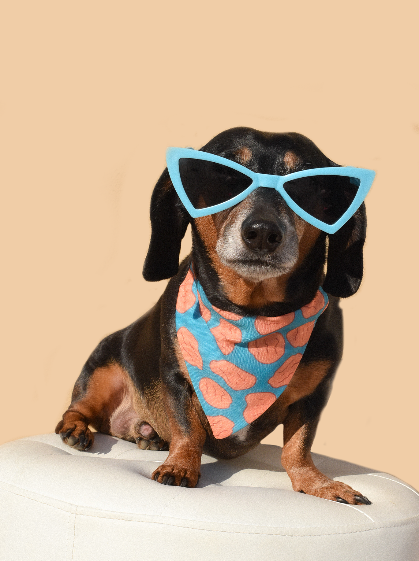 Little Nuggets Bandana - Dope Dog Co