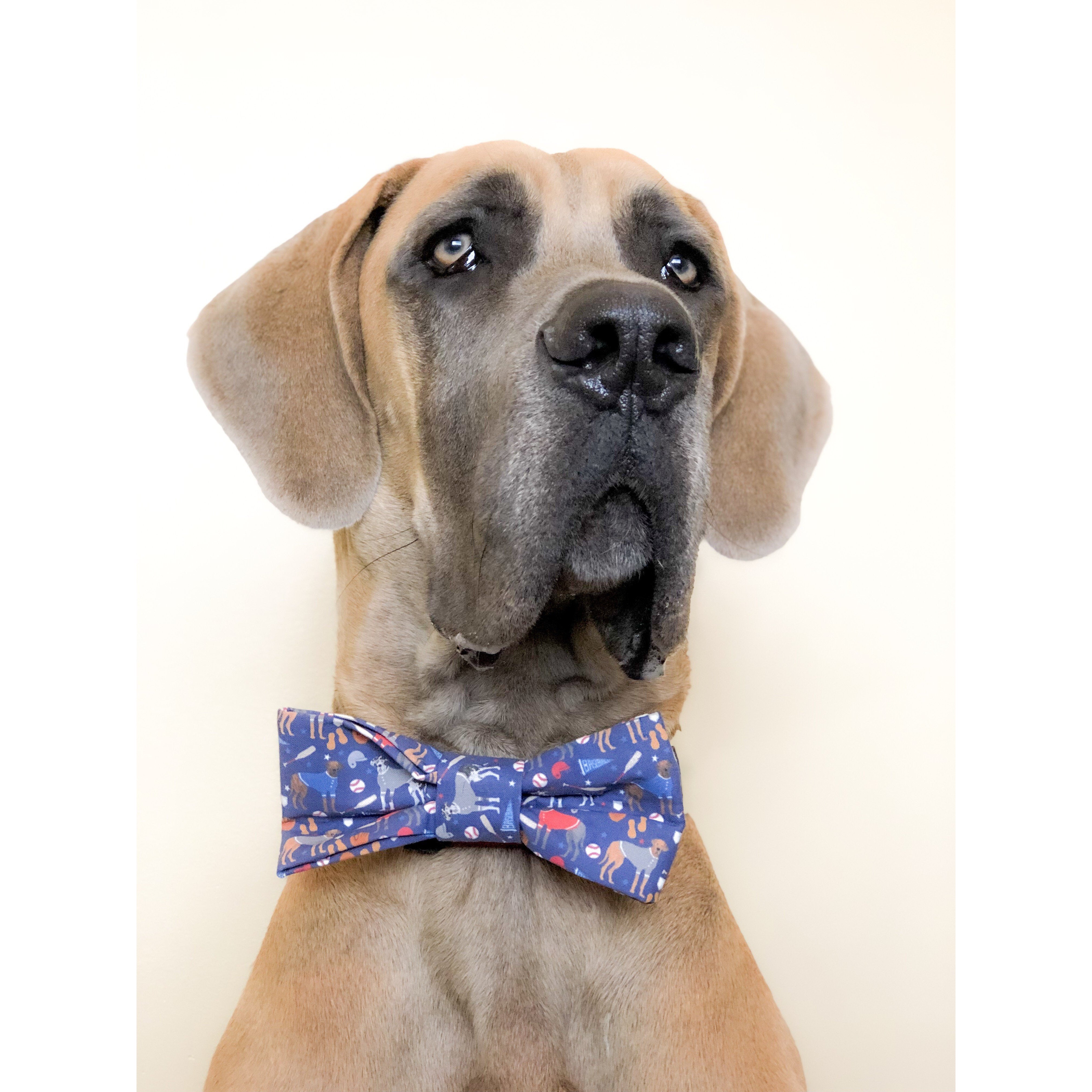 You're a Catch - Dog Bow Tie - Dope Dog Co