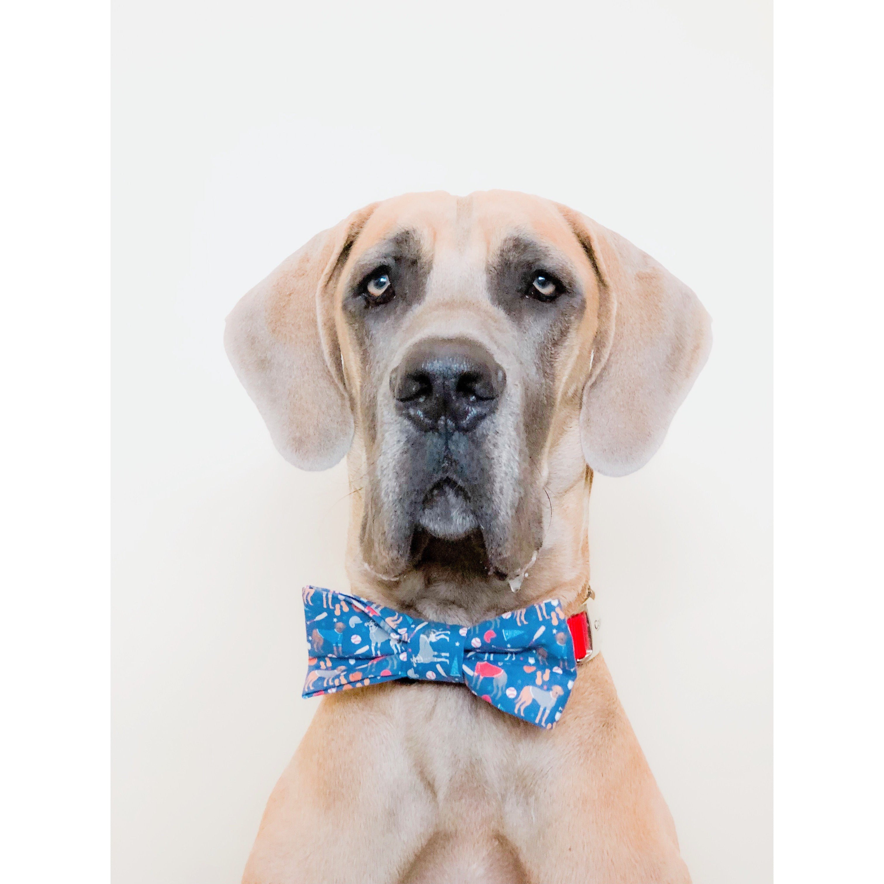 You're a Catch - Dog Bow Tie - Dope Dog Co