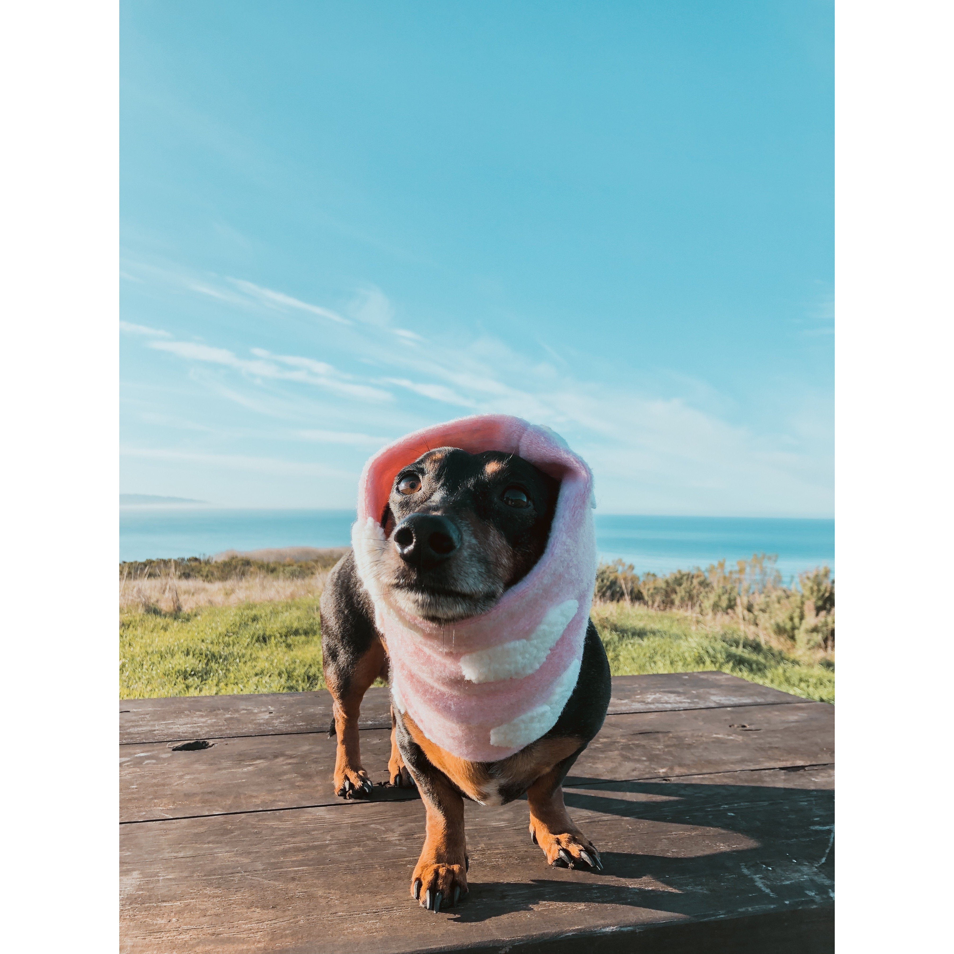 Heartbreaker Dog Scarf - Dope Dog Co