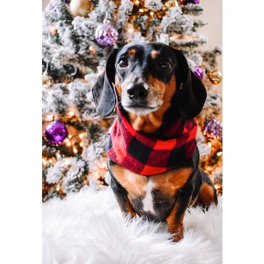Al Borland Scarf-Dope Dog Co