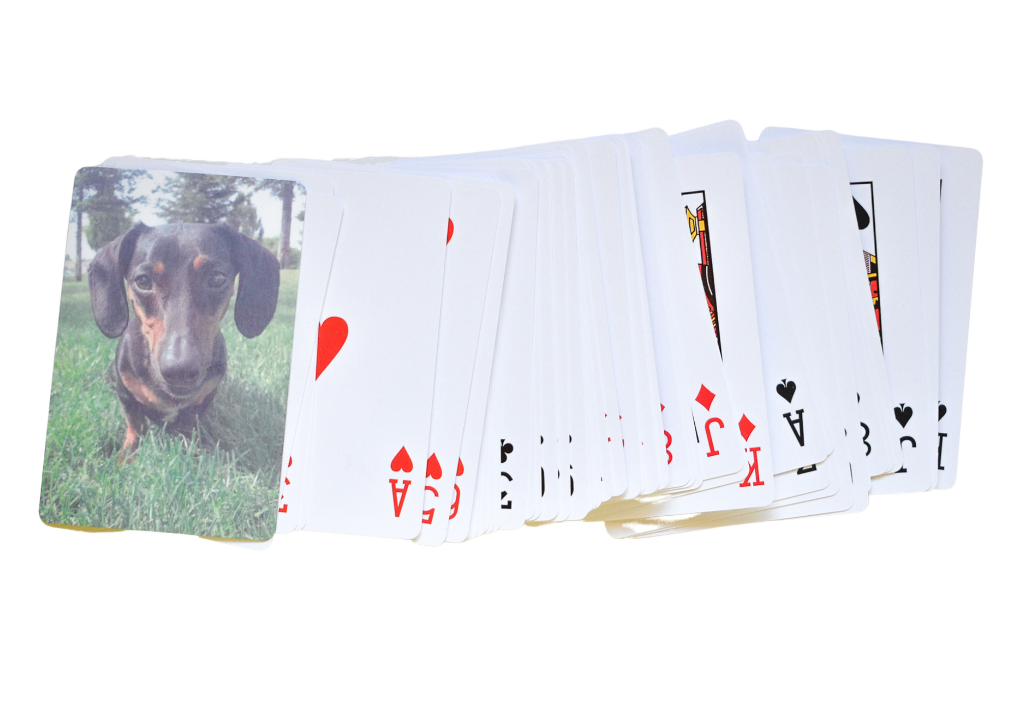 Custom Playing Cards - Dope Dog Co